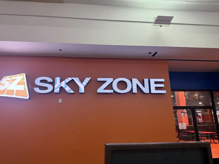 Sky Zone Trampoline Park Picture 8