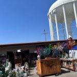 Traders Village Grand Prairie