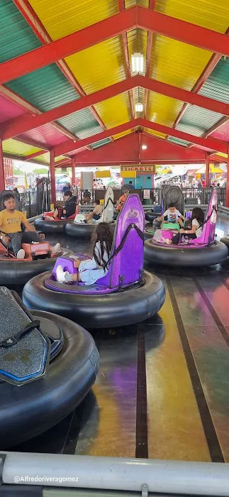 Traders Village Grand Prairie Picture 7