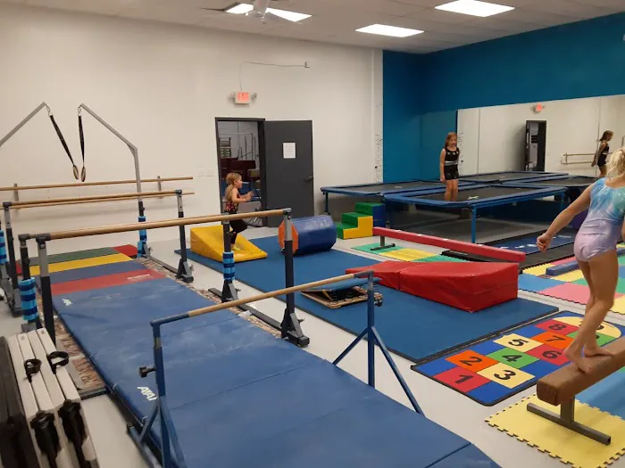 Flip Factory Trampoline and Power Tumbling, LLC Picture 2
