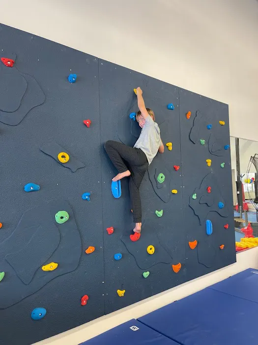 We Rock The Spectrum Kids Gym - Plano Picture 5