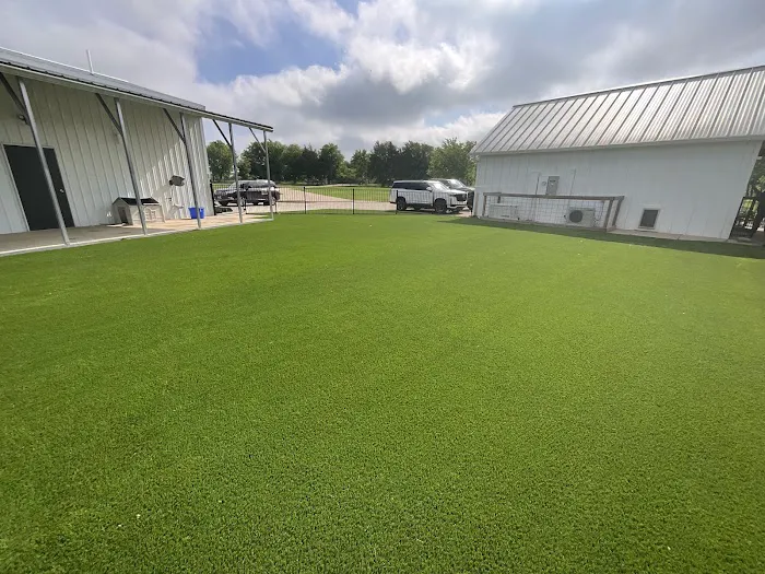 Jumpy Joey Trampolines & Turf Picture 4