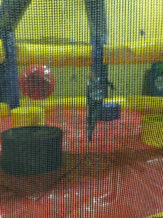 Pump It Up Arlington Kids Birthdays and More Picture 9