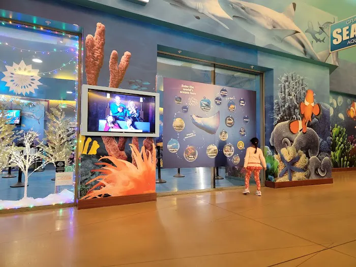 LEGOLAND® Discovery Center Dallas/Fort Worth Picture 2