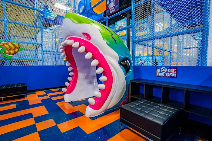 Ninja Kidz Action Park Picture 7
