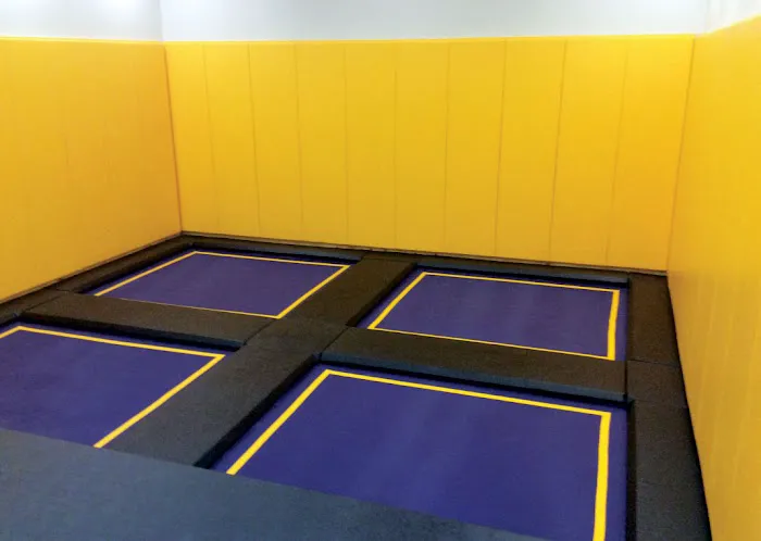 Best American Trampolines .. Picture 6