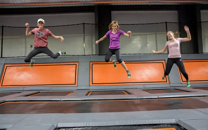 Best American Amusement Group - Adventure Park Builder Picture 8
