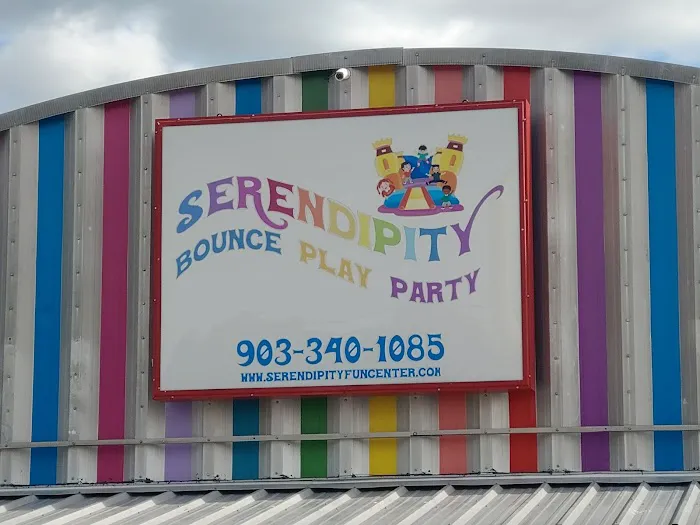 Serendipity bounce play party Picture 5