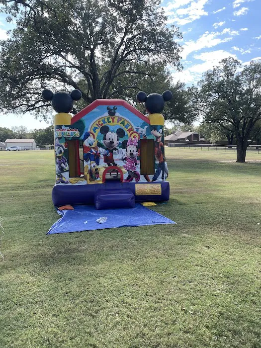 Big Bounce & Slide City Picture 1