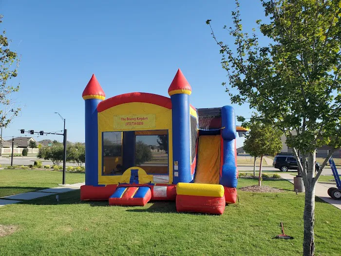 The Bouncy Kingdom Picture 1