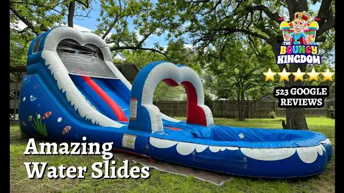 The Bouncy Kingdom Picture 3