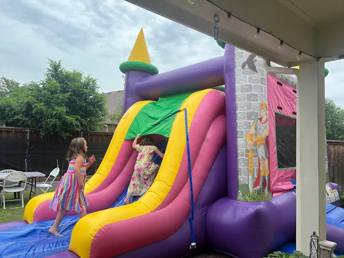 The Bouncy Kingdom Picture 7