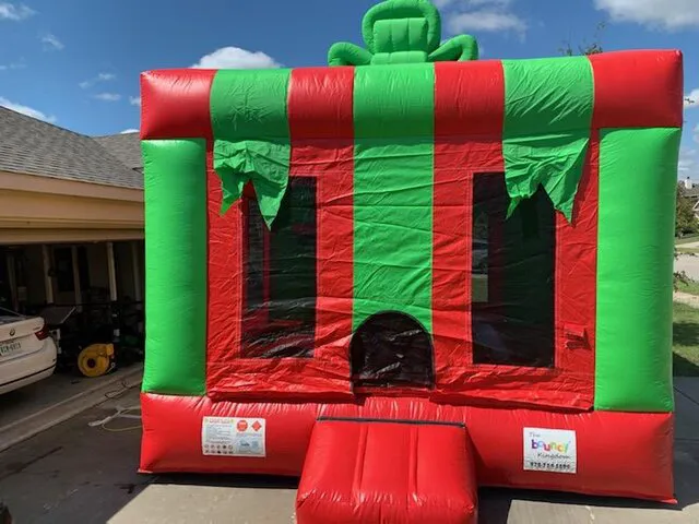 The Bouncy Kingdom Picture 10