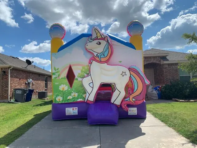 The Bouncy Kingdom Picture 9
