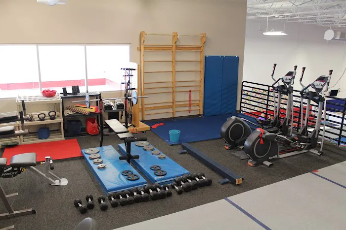 Eagle Gymnastics Academy Picture 3