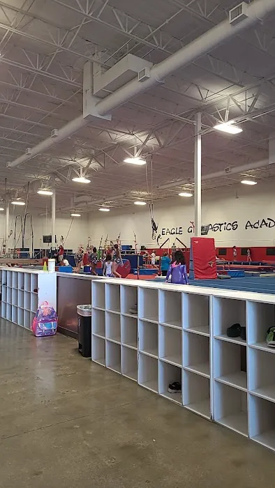 Eagle Gymnastics Academy Picture 4