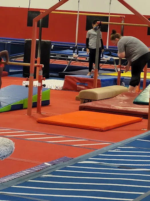 Eagle Gymnastics Academy Picture 6
