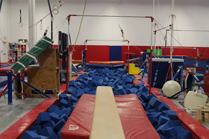 Eagle Gymnastics Academy Picture 9