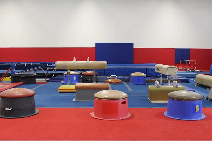 Eagle Gymnastics Academy Picture 7