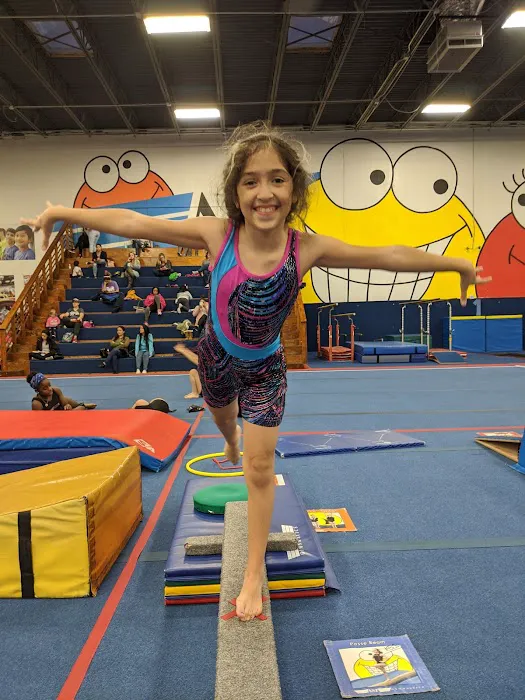 ASI Gymnastics - Arlington Picture 4
