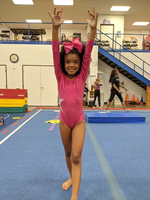 ASI Gymnastics - Arlington Picture 6