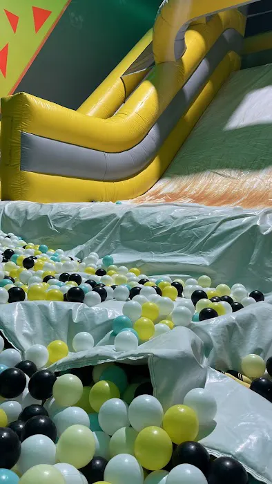 Super Llama Inflatable Park Picture 2