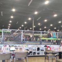 Elevate Trampoline Park ico
