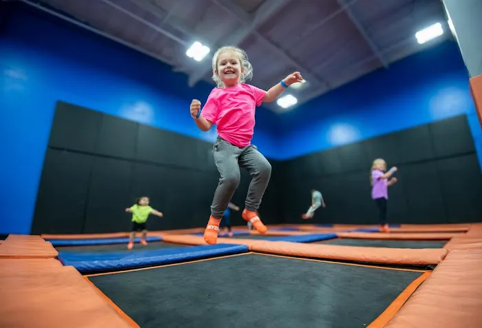 Sky Zone Trampoline Park Picture 1