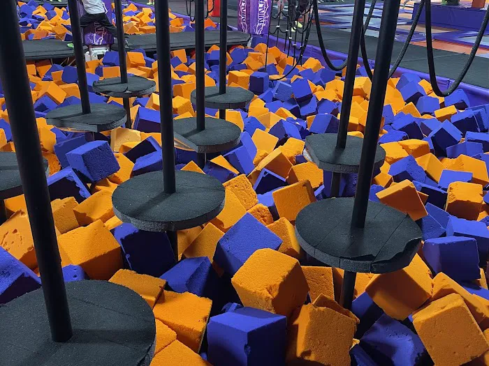 Surge Adventure Park Picture 2