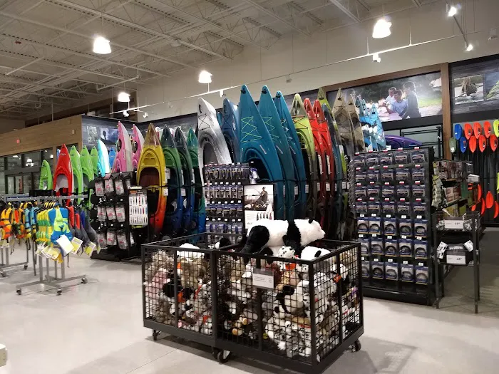 DICK'S Sporting Goods Picture 4