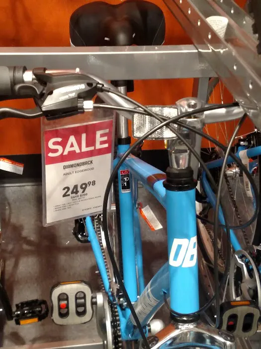 DICK'S Sporting Goods Picture 8