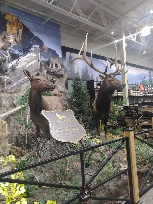 DICK'S Sporting Goods Picture 6