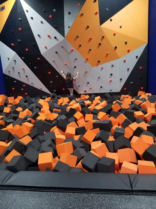 Sky Zone Trampoline Park Picture 1