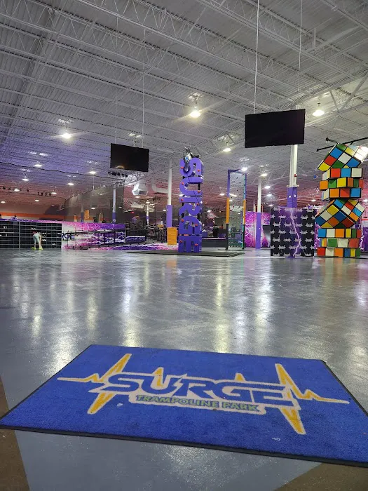 Surge Adventure Park Picture 1