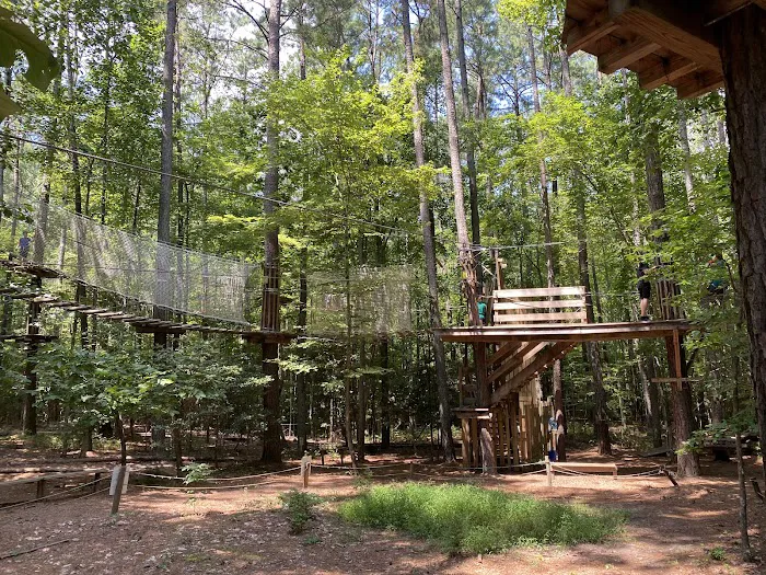 Go Ape Zipline and Adventure Park Picture 2