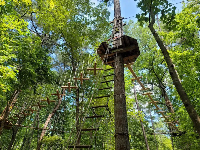 Go Ape Zipline and Adventure Park Picture 1