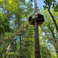 Go Ape Zipline and Adventure Park ico