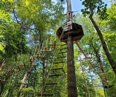 Go Ape Zipline and Adventure Park