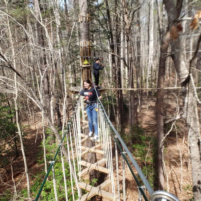 Go Ape Zipline and Adventure Park Picture 3