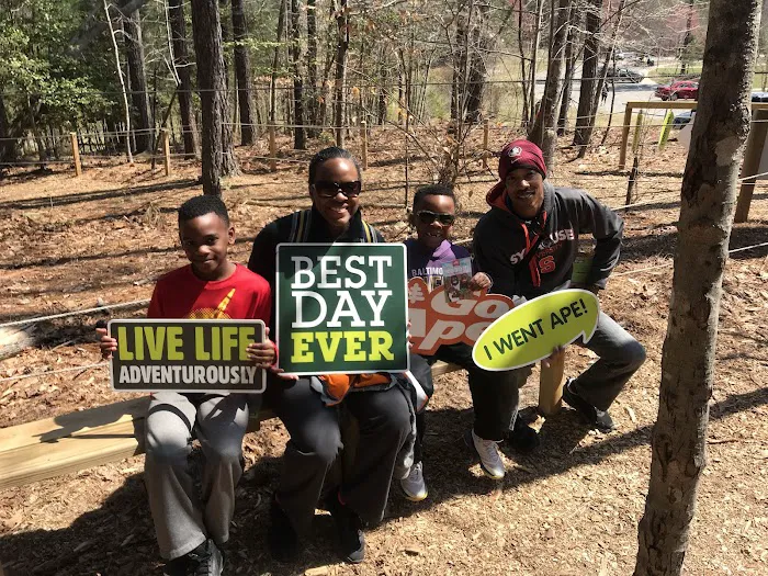 Go Ape Zipline and Adventure Park Picture 6