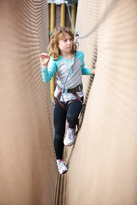 Go Ape Zipline and Adventure Park Picture 9