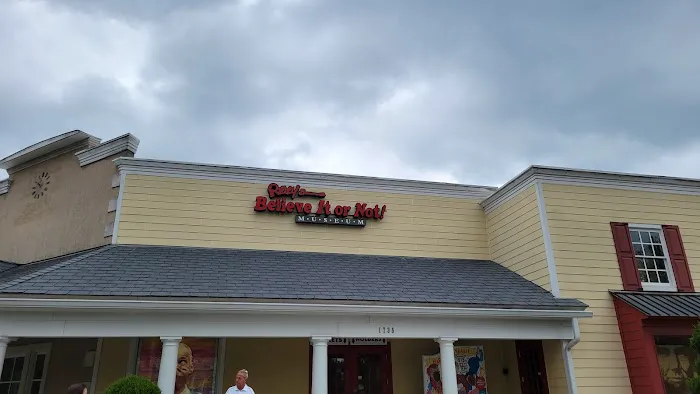 Ripley's Believe It or Not! Williamsburg Picture 2