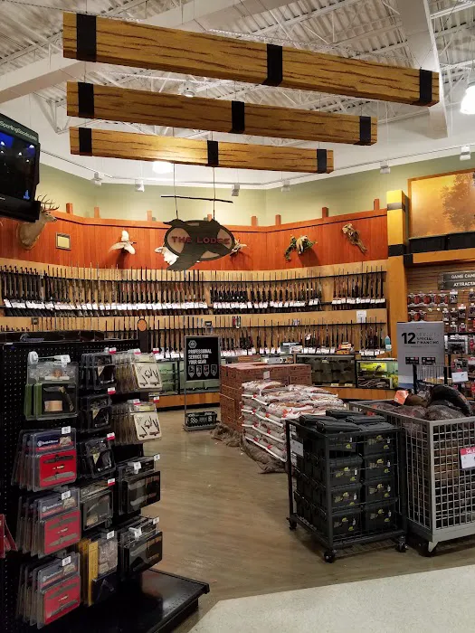 DICK'S Sporting Goods Picture 7
