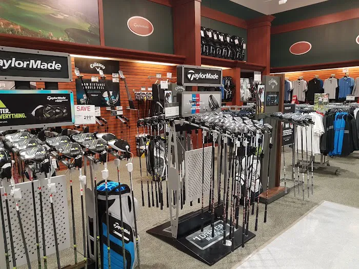 DICK'S Sporting Goods Picture 5