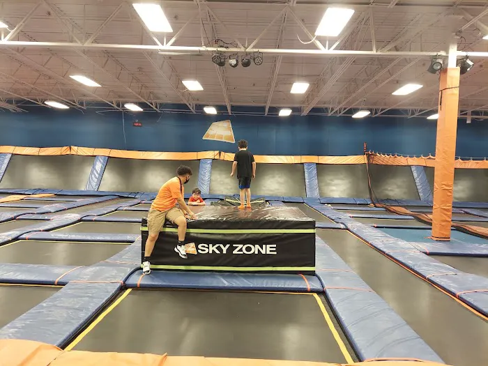 Sky Zone Trampoline Park Picture 3