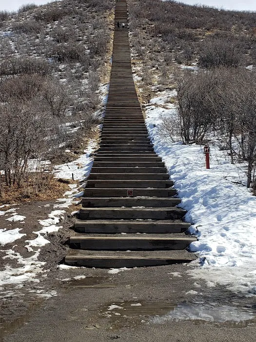 Miller Activity Complex Picture 5