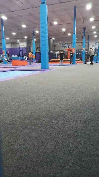 Altitude Trampoline Park - Pueblo Picture 9