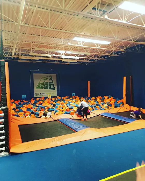 Sky Zone Trampoline Park Picture 2