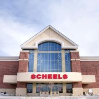 Scheels ico