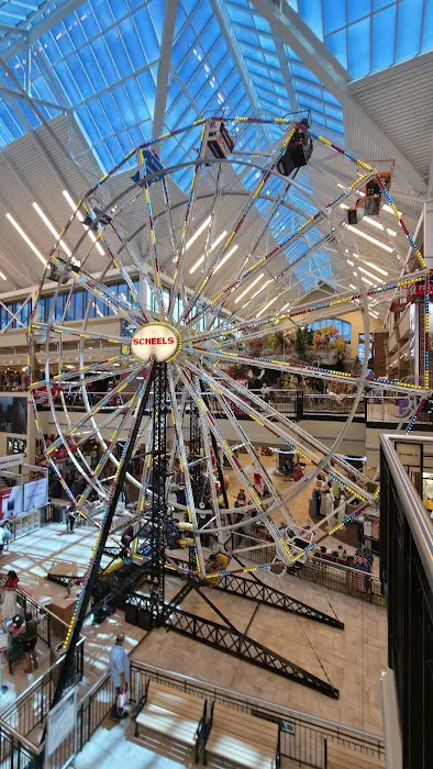 Scheels Picture 3